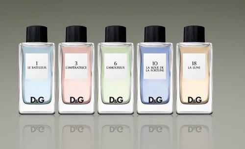 perfumes dg